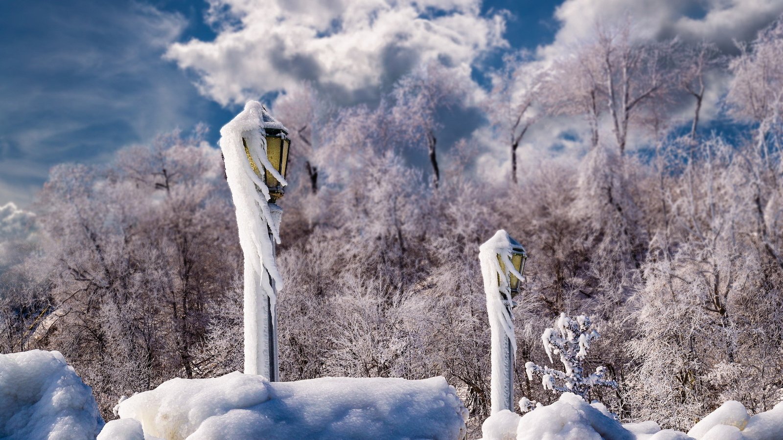 Обои снег, пейзаж, светильники, snow, landscape, lamps разрешение 1920x1200 Загрузить