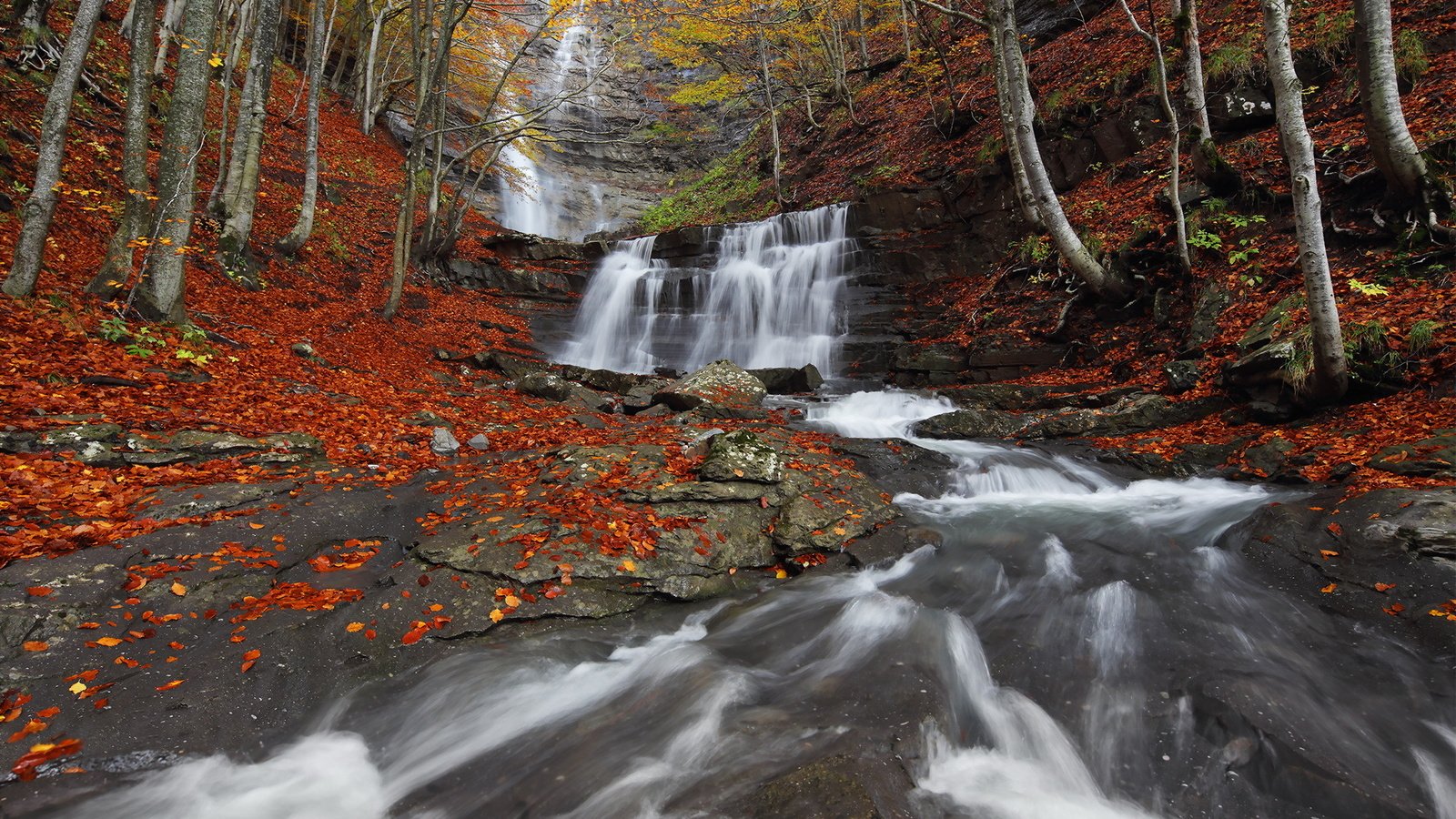 Обои река, природа, лес, водопад, осень, river, nature, forest, waterfall, autumn разрешение 1998x1334 Загрузить