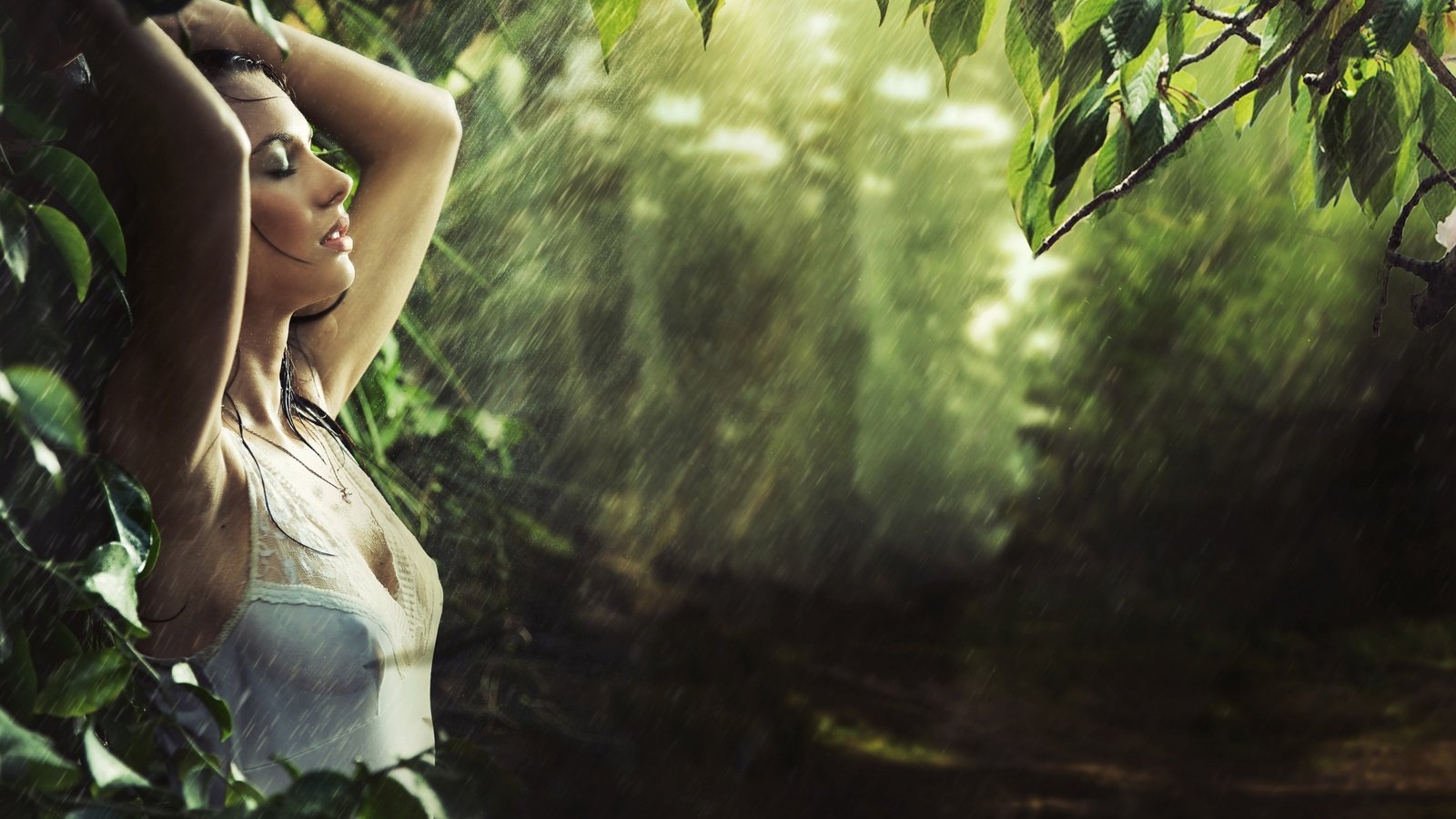 Обои лес, девушка, модель, дождь, мокрая, forest, girl, model, rain, wet разрешение 2880x1888 Загрузить