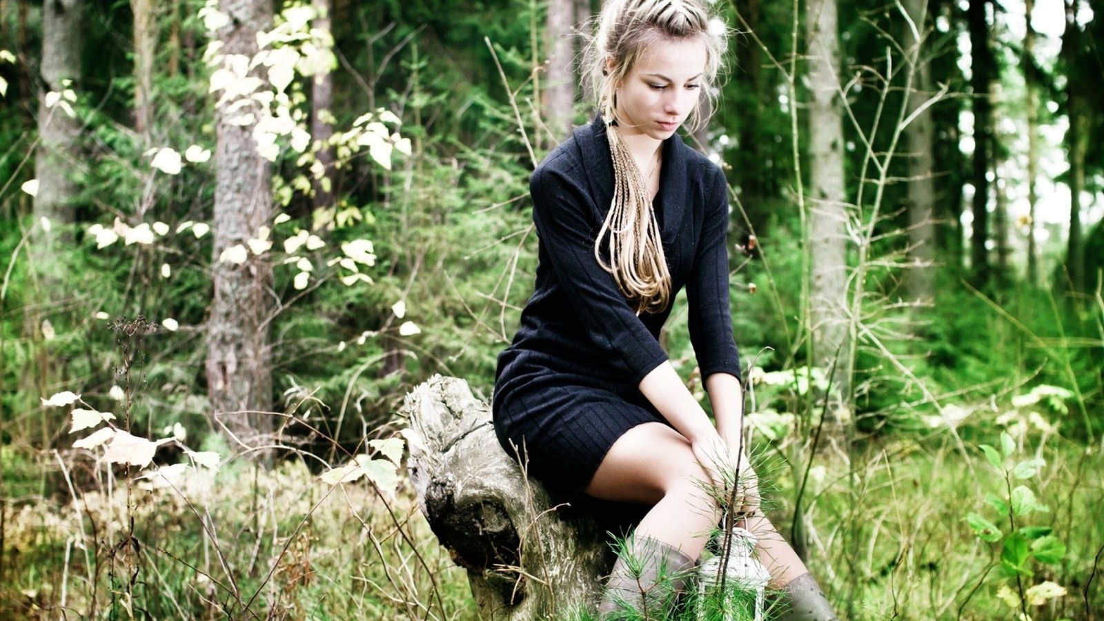 Обои девушка, в лесу, на пеньке, girl, in the woods, on the stump разрешение 1920x1200 Загрузить