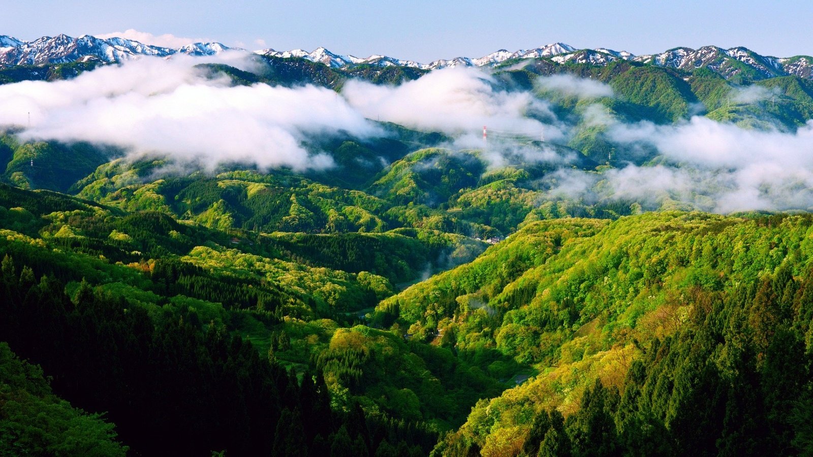 Обои горы, холмы, зелёный, пейзаж, туман, леса, mountains, hills, green, landscape, fog, forest разрешение 1920x1080 Загрузить