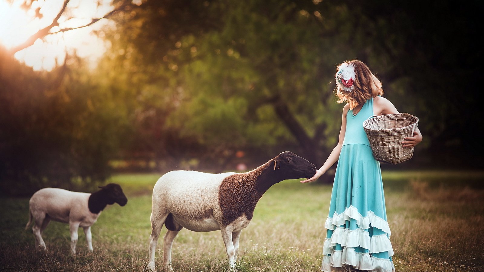 Обои фон, девочка, овцы, background, girl, sheep разрешение 1920x1241 Загрузить