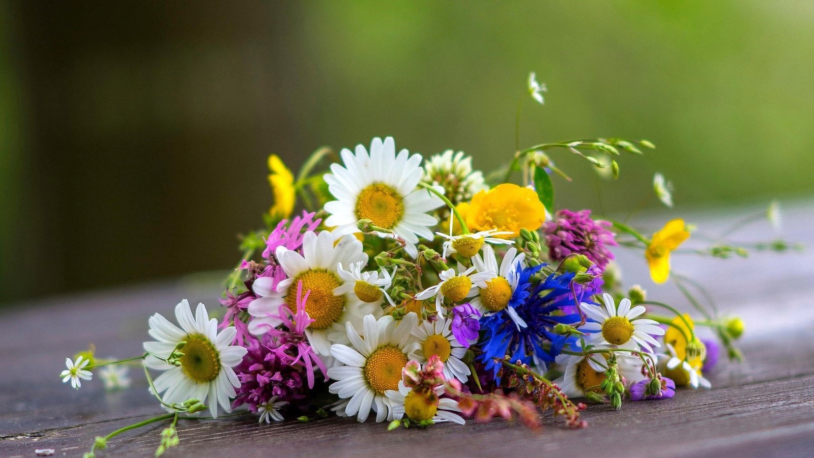 Обои цветы, ромашки, букет, полевые, flowers, chamomile, bouquet, field разрешение 1920x1080 Загрузить