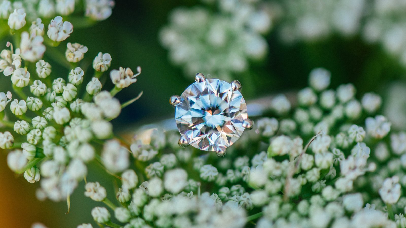 Обои цветы, камень, кольцо, обручальное, flowers, stone, ring, wedding разрешение 6016x4016 Загрузить