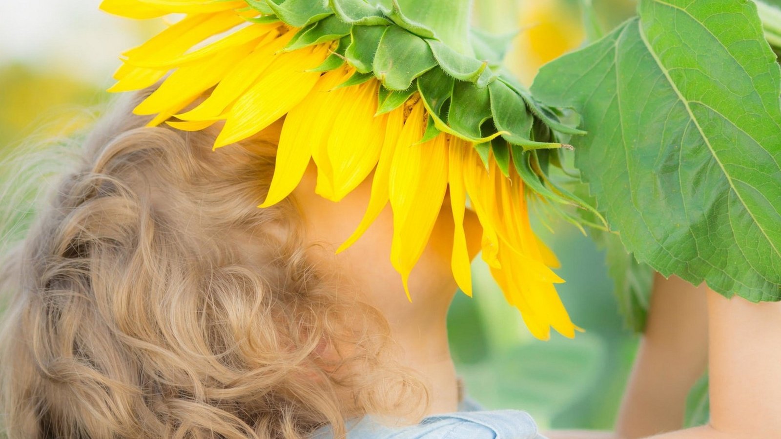 Обои цветы, природа, дети, подсолнух, девочка, flowers, nature, children, sunflower, girl разрешение 1920x1707 Загрузить