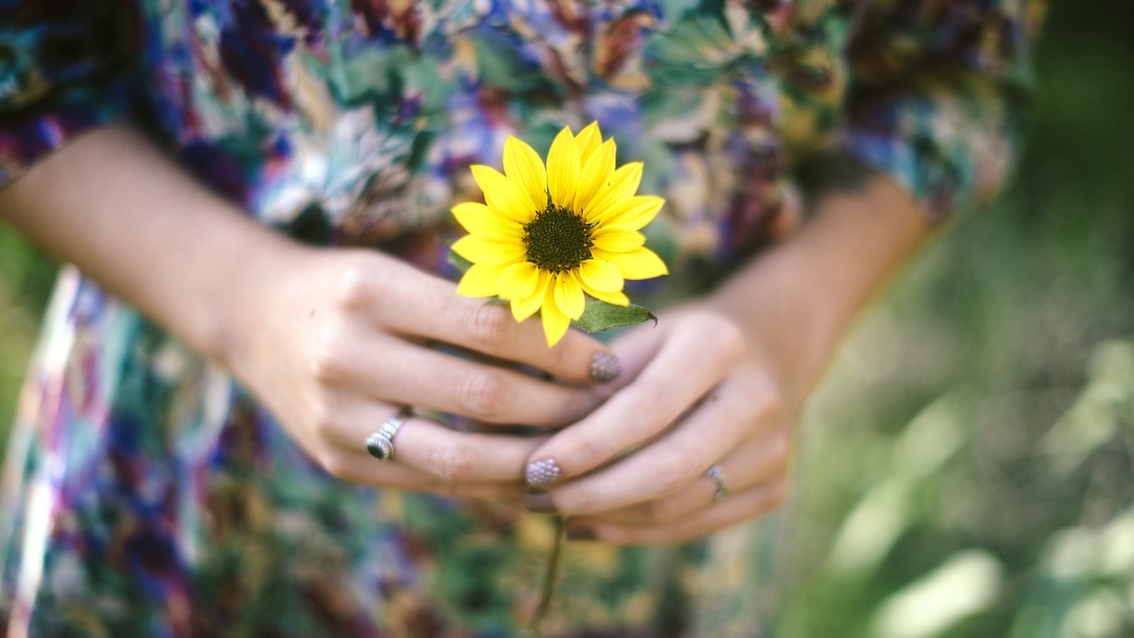 Обои цветок, лепестки, кольцо, руки, желтые, flower, petals, ring, hands, yellow разрешение 2880x1922 Загрузить