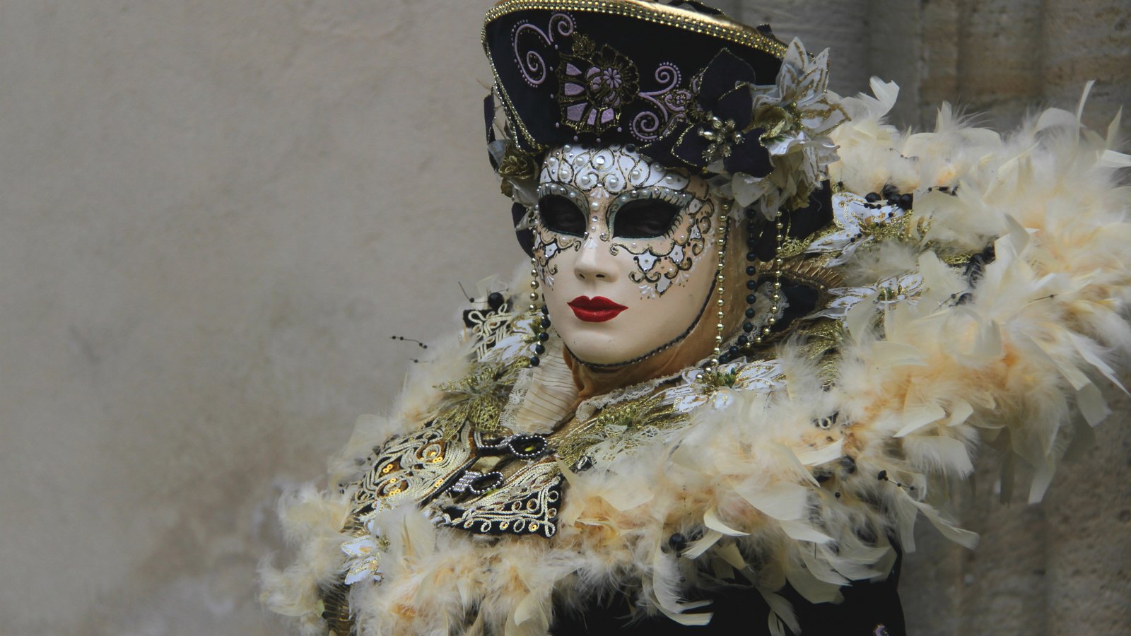 Обои маска, венеция, перья, костюм, воротник, карнавал, mask, venice, feathers, costume, collar, carnival разрешение 2400x1632 Загрузить