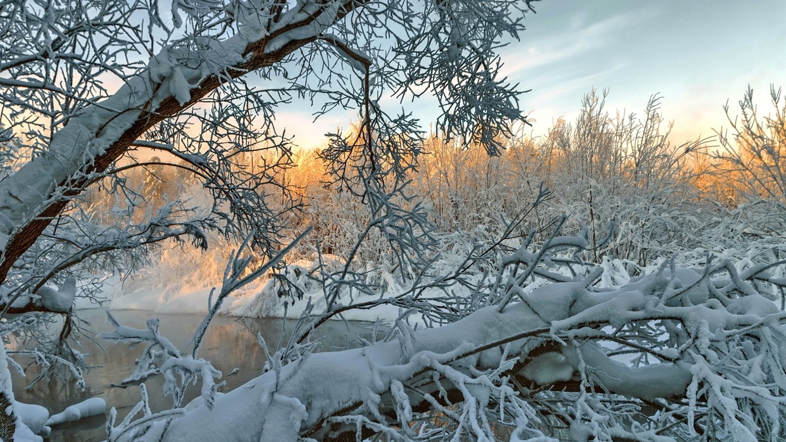 Обои деревья, река, снег, зима, ветки, trees, river, snow, winter, branches разрешение 1920x1285 Загрузить