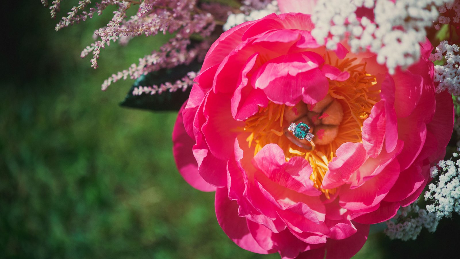 Обои цветок, лепестки, камень, кольцо, flower, petals, stone, ring разрешение 2048x1363 Загрузить