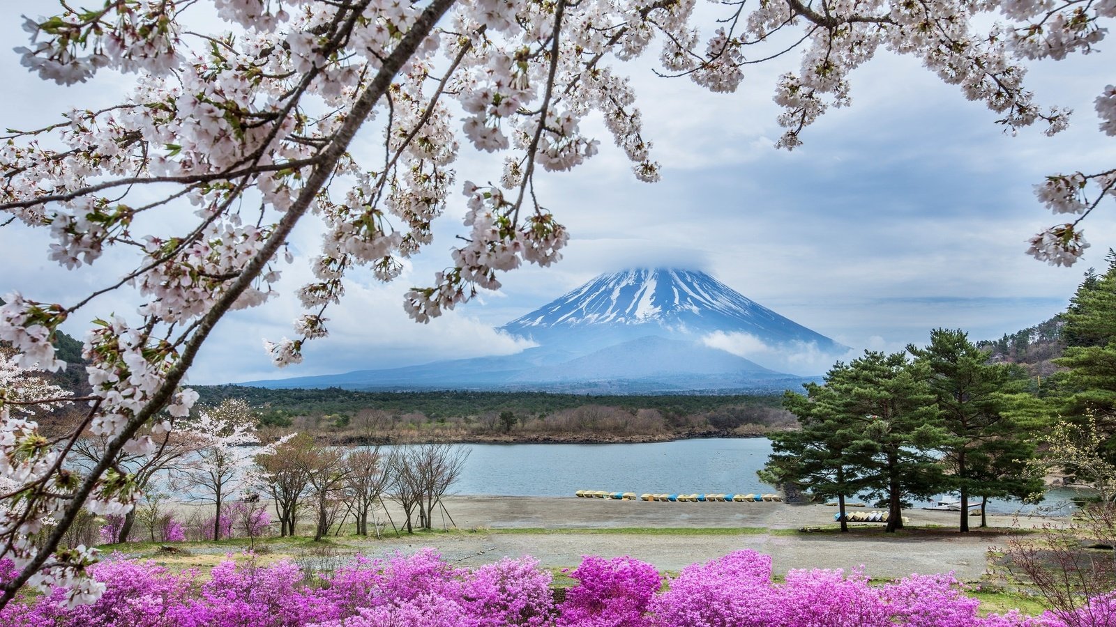 Обои цветы, гора, япония, весна, сакура, фудзияма, flowers, mountain, japan, spring, sakura, fuji разрешение 2048x1365 Загрузить