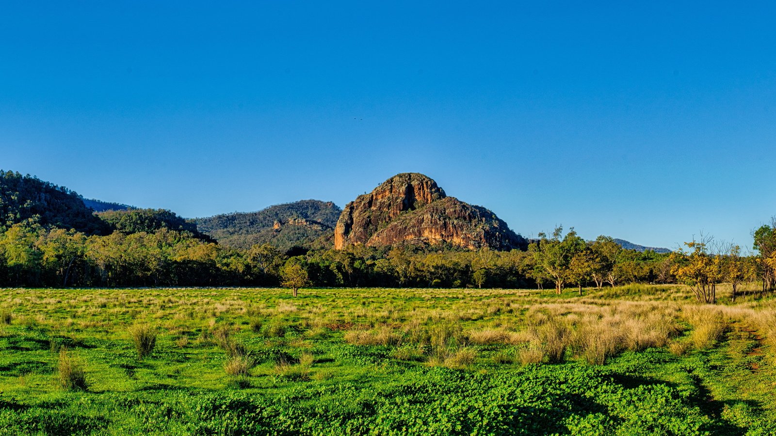 Обои небо, равнина, трава, австралия, деревья, warrumbungles national park, горы, скалы, солнце, лес, кусты, the sky, plain, grass, australia, trees, mountains, rocks, the sun, forest, the bushes разрешение 5100x3000 Загрузить