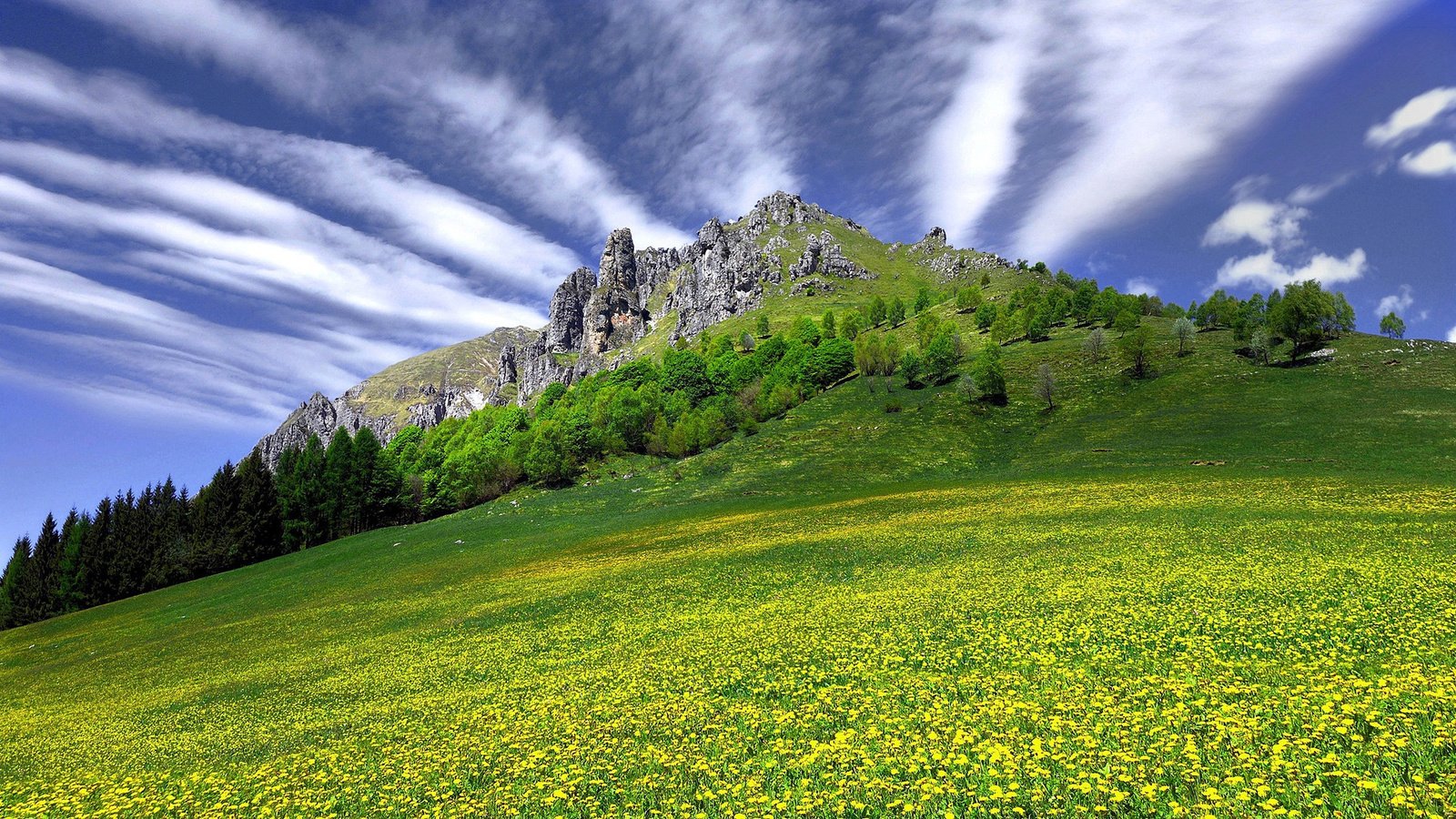 Обои небо, цветы, трава, облака, скала, гора, the sky, flowers, grass, clouds, rock, mountain разрешение 2048x1108 Загрузить
