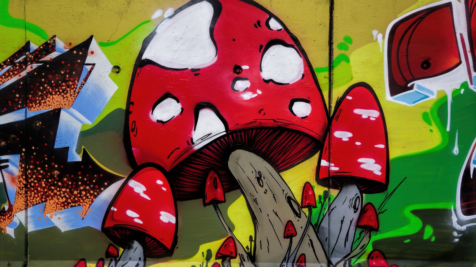 Обои арт, город, стена, грибы, графити, art, the city, wall, mushrooms, grafiti разрешение 2048x1365 Загрузить