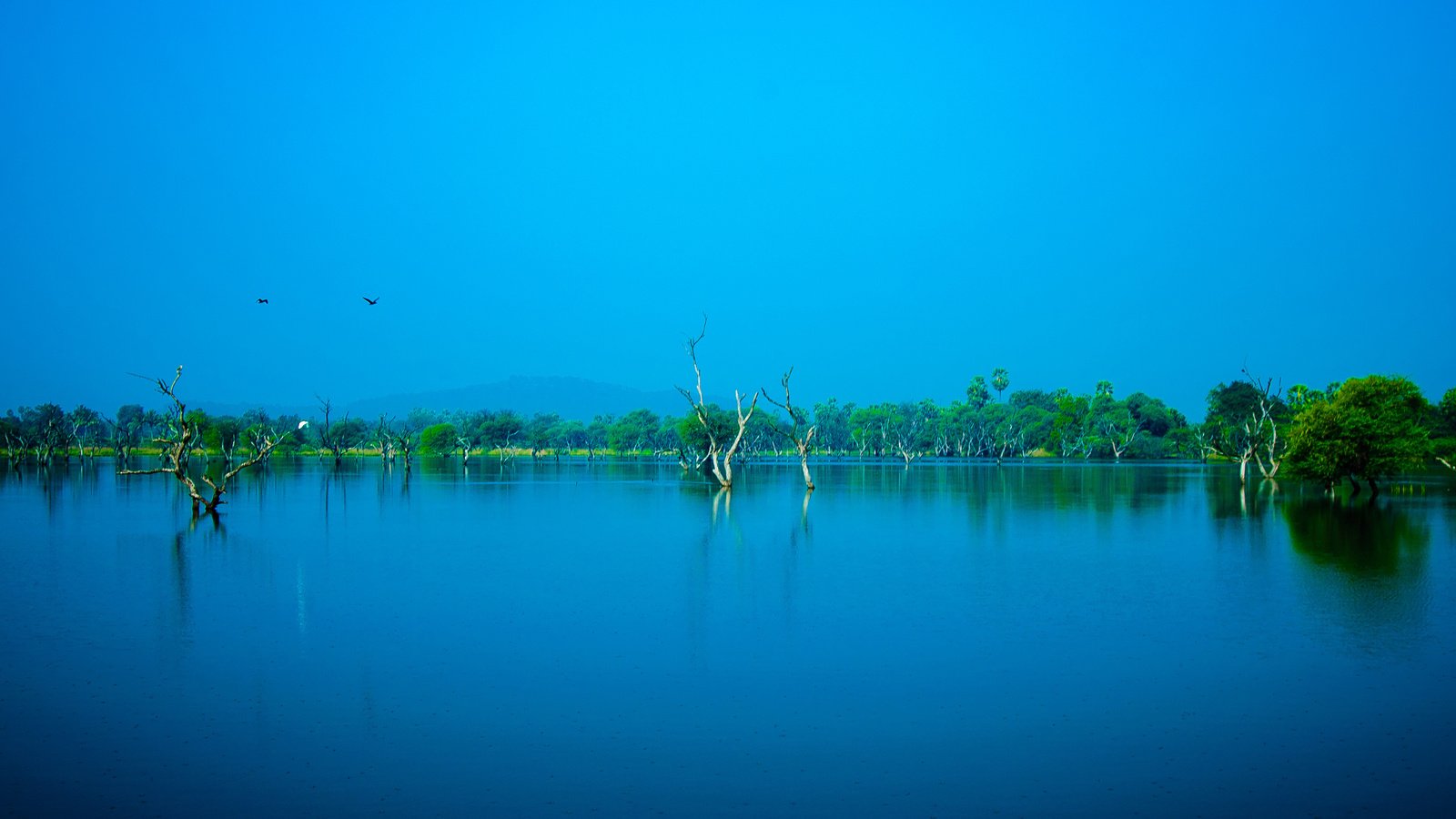 Обои небо, деревья, вода, озеро, природа, пейзаж, птицы, синее, the sky, trees, water, lake, nature, landscape, birds, blue разрешение 4288x2160 Загрузить