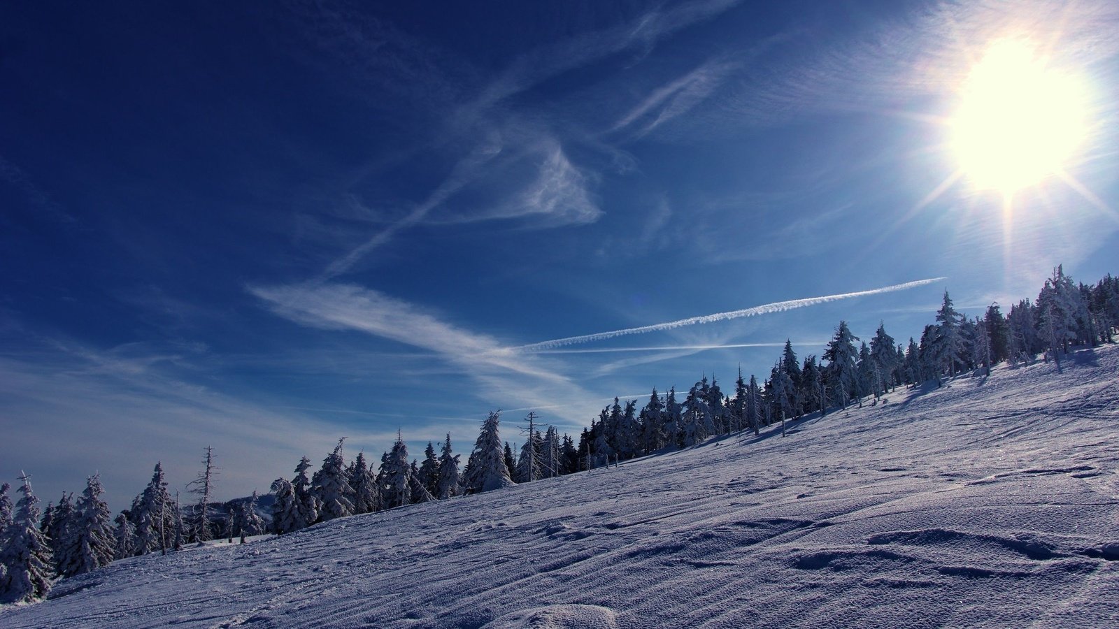 Обои небо, деревья, горы, солнце, снег, зима, the sky, trees, mountains, the sun, snow, winter разрешение 2560x1600 Загрузить