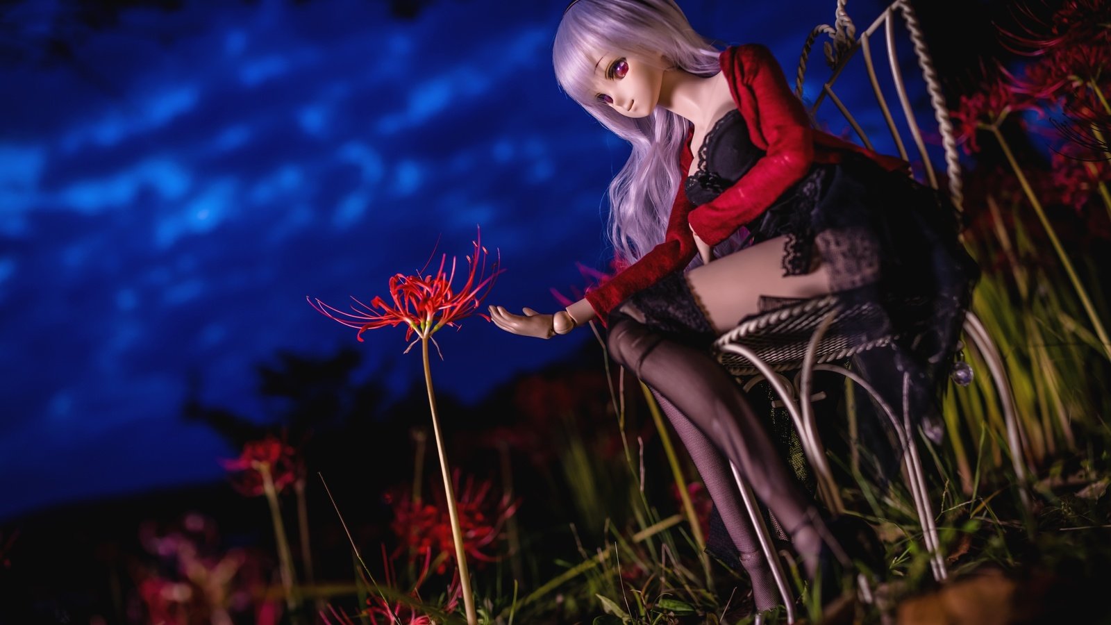 Обои ночь, цветок, стул, лилия, кукла, чулки, night, flower, chair, lily, doll, stockings разрешение 3600x2400 Загрузить