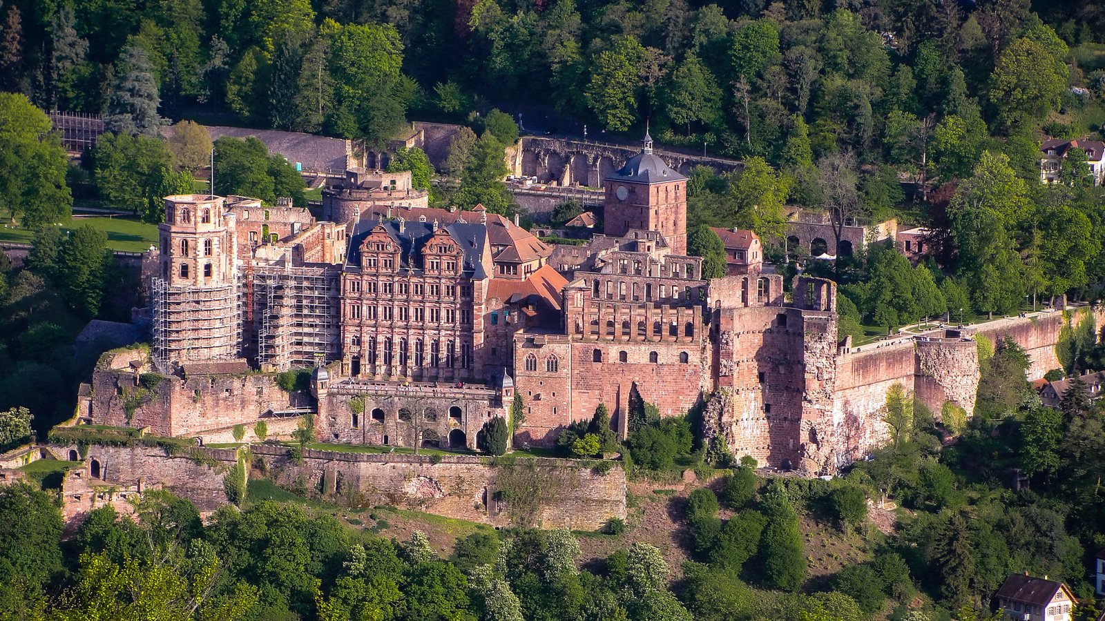 Обои деревья, лес, замок, вид сверху, германия, heidelberg castle, trees, forest, castle, the view from the top, germany разрешение 2048x1536 Загрузить