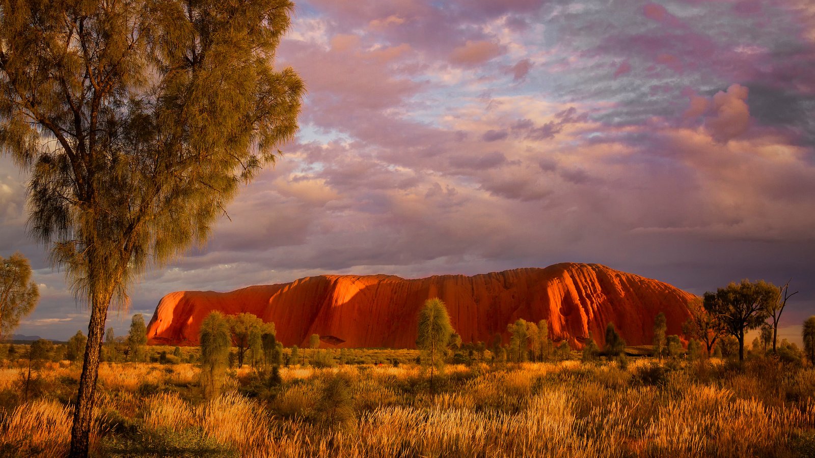 Обои деревья, скалы, австралия, улуру, северные территории, trees, rocks, australia, uluru, northern territory разрешение 2048x1365 Загрузить