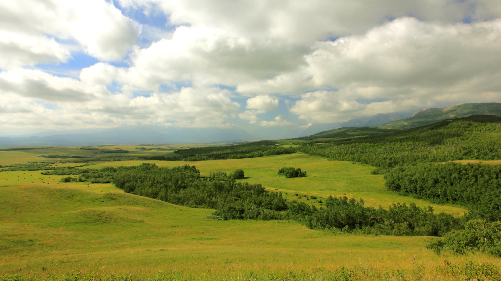 Обои облака, горы, лес, поля, канада, луга, провинция альберта, clouds, mountains, forest, field, canada, meadows, alberta разрешение 3200x1900 Загрузить