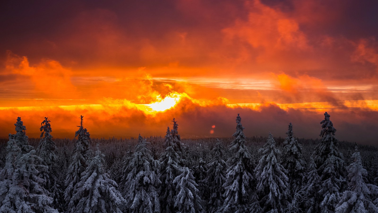 Обои снег, лес, закат, зима, ель, елки, snow, forest, sunset, winter, spruce, tree разрешение 1920x1080 Загрузить