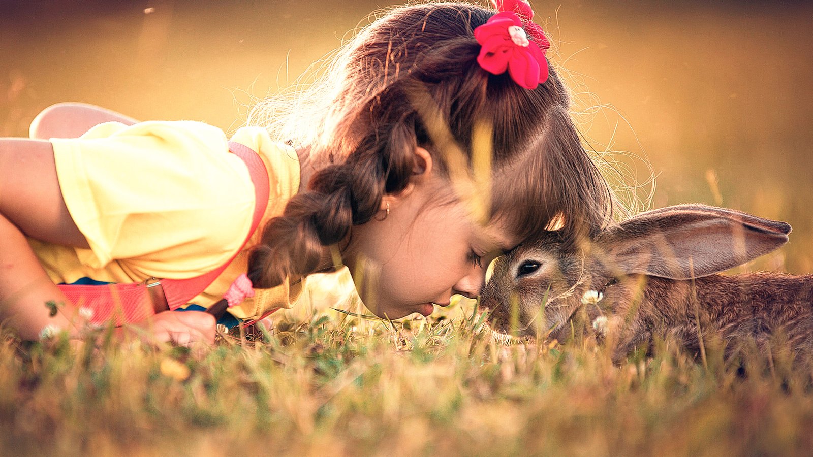 Обои трава, девочка, ребенок, кролик, животное, дружба, заяц, grass, girl, child, rabbit, animal, friendship, hare разрешение 2000x1125 Загрузить