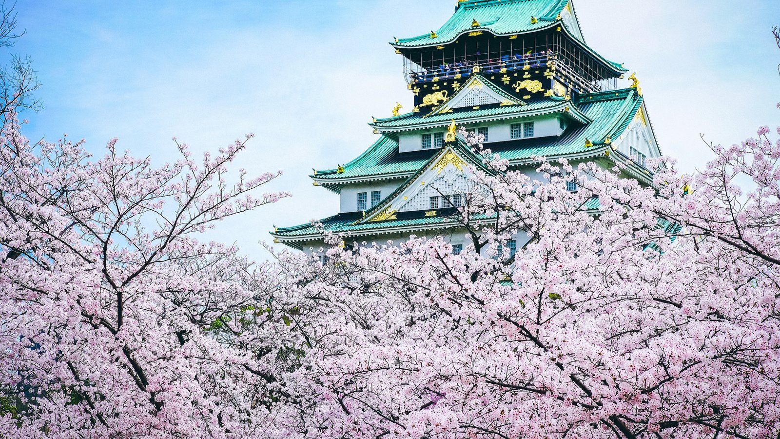Обои замок, пагода, япония, сакура, castle, pagoda, japan, sakura разрешение 2048x1365 Загрузить
