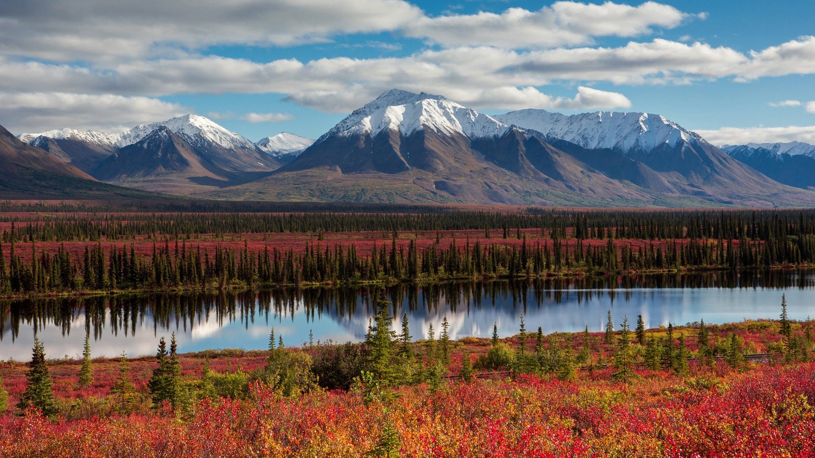 Обои небо, облака, деревья, горы, лес, осень, сша, аляска, the sky, clouds, trees, mountains, forest, autumn, usa, alaska разрешение 2048x1365 Загрузить