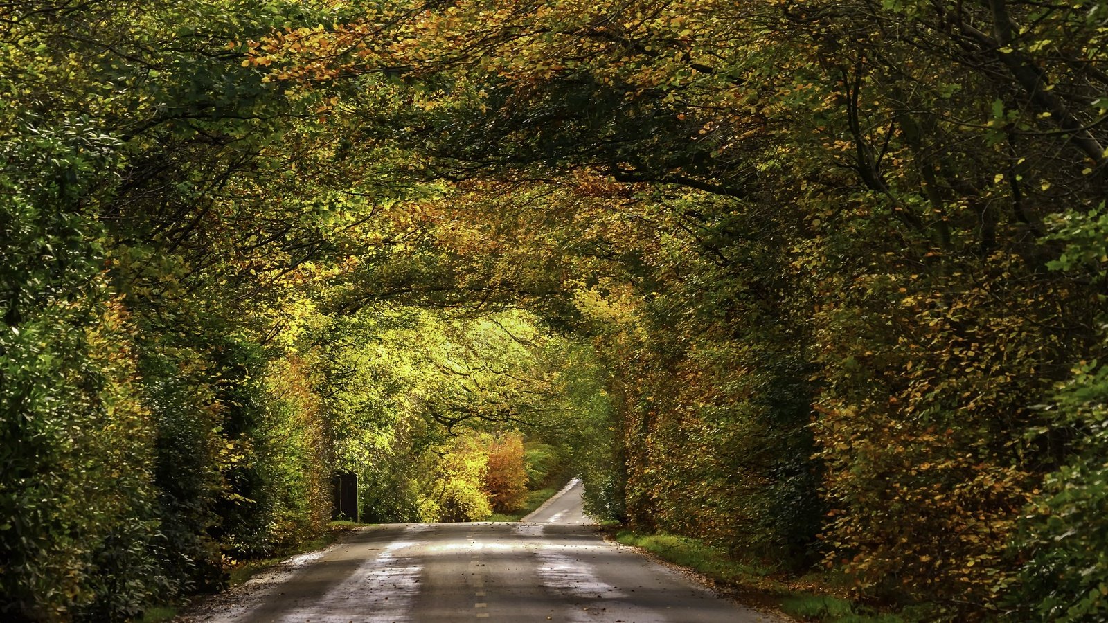 Обои дорога, листва, осень, опадают, осен, автодорога, road, foliage, autumn, fall разрешение 2009x1314 Загрузить