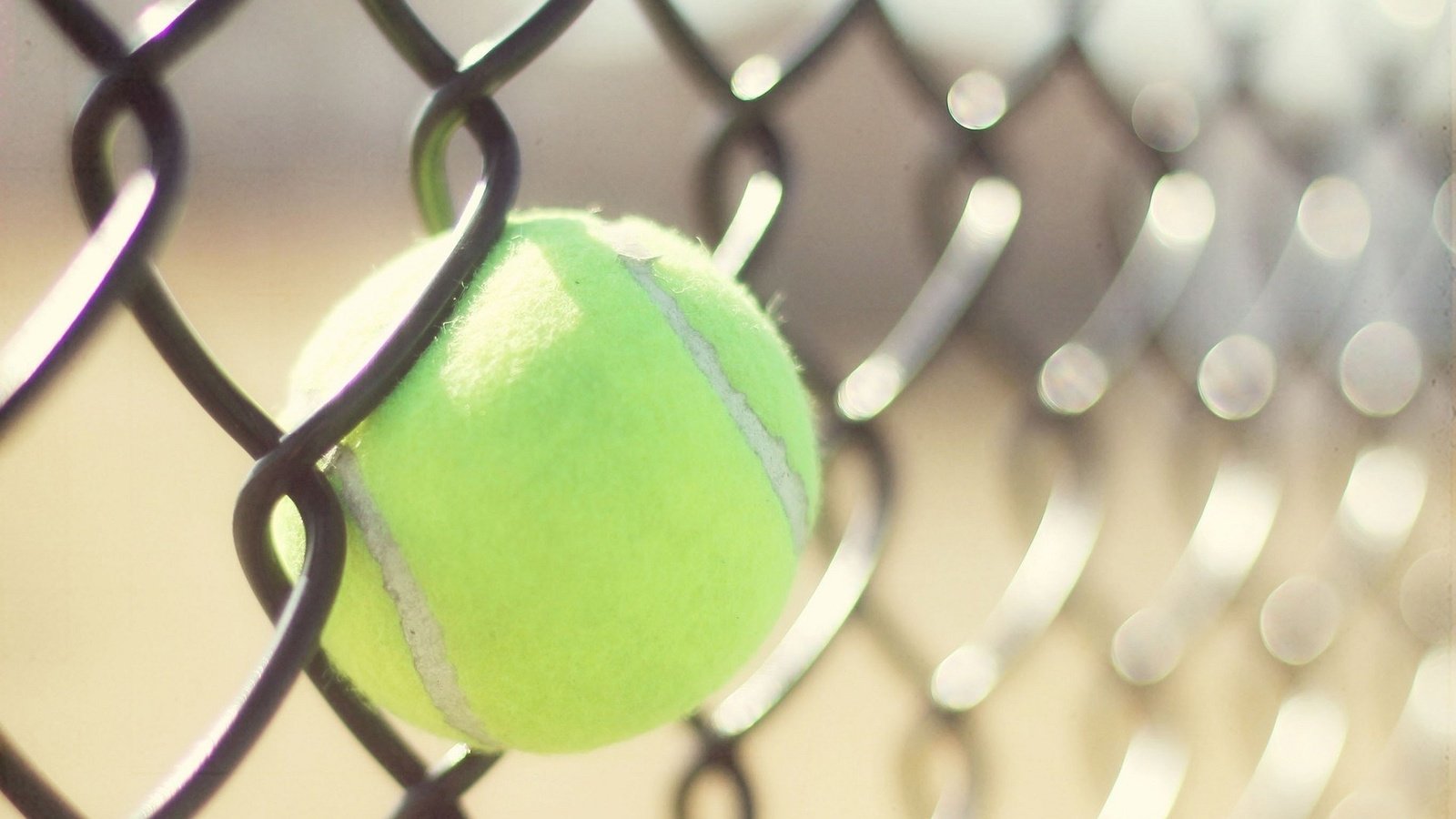 Обои забор, сетка, тенис, спорт, мяч, теннис, бал, the fence, mesh, tennis, sport, the ball, ball разрешение 1920x1200 Загрузить