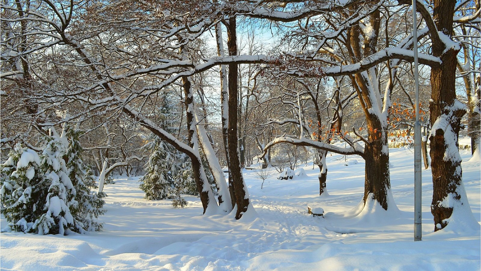 Обои деревья, снег, зима, лучи, парк, деревь, trees, snow, winter, rays, park разрешение 3004x1885 Загрузить