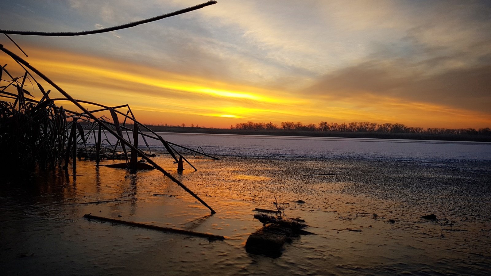 Обои вода, озеро, снег, растения, зима, лёд, холод, камыши, water, lake, snow, plants, winter, ice, cold, the reeds разрешение 4032x3024 Загрузить