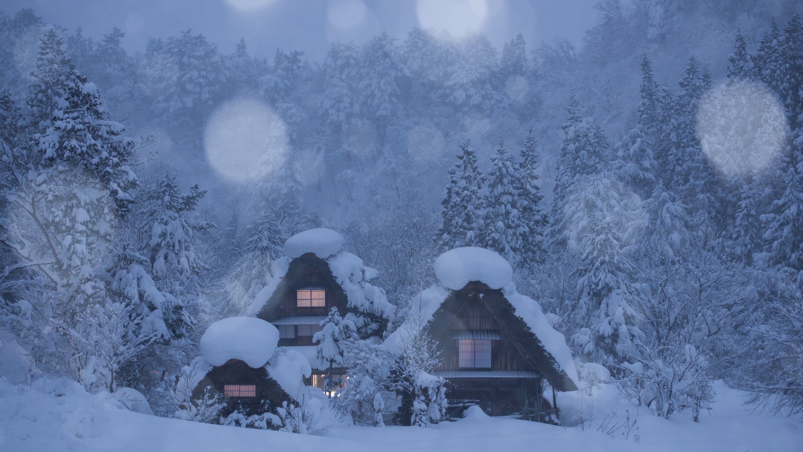 Обои деревья, shirakawa-go, снег, лес, зима, домики, деревня, япония, японии, сиракава, shirakawa, trees, snow, forest, winter, houses, village, japan разрешение 7069x4713 Загрузить