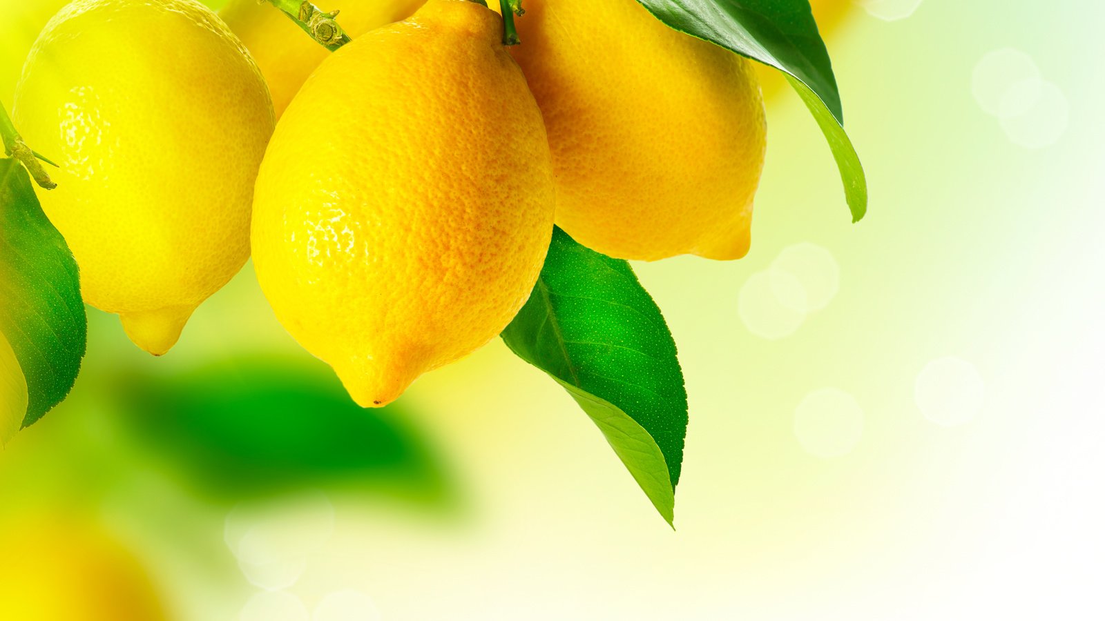 Обои еда, фрукты, лимон, цитрус, лимоны, food, fruit, lemon, citrus, lemons разрешение 6510x4909 Загрузить