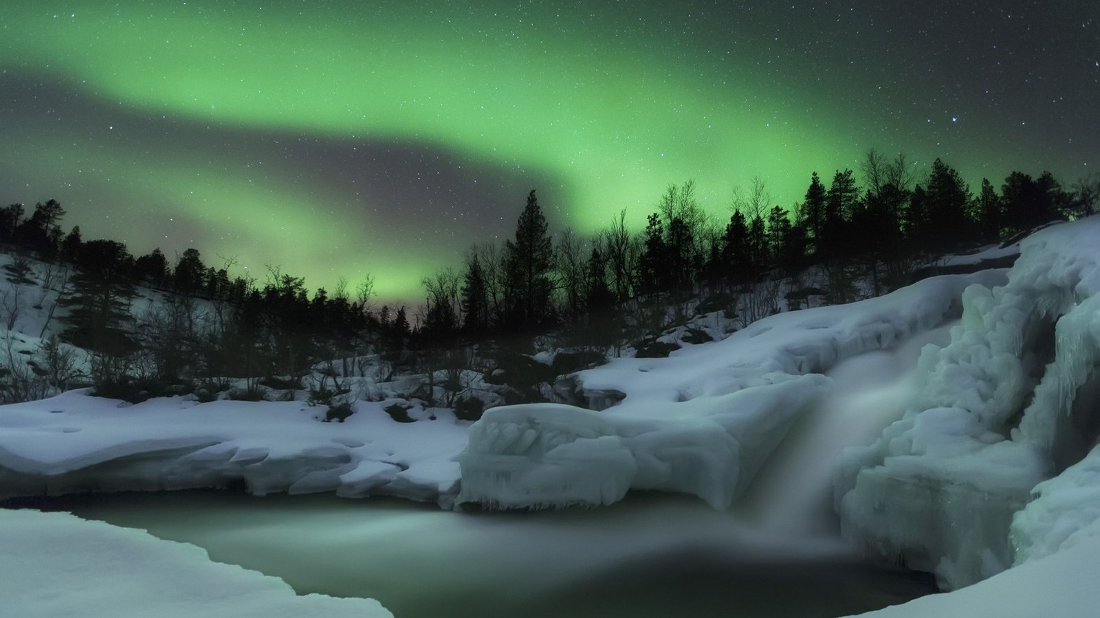 Обои снег, лес, северное сияние, скандинавия, snow, forest, northern lights, scandinavia разрешение 1920x1200 Загрузить