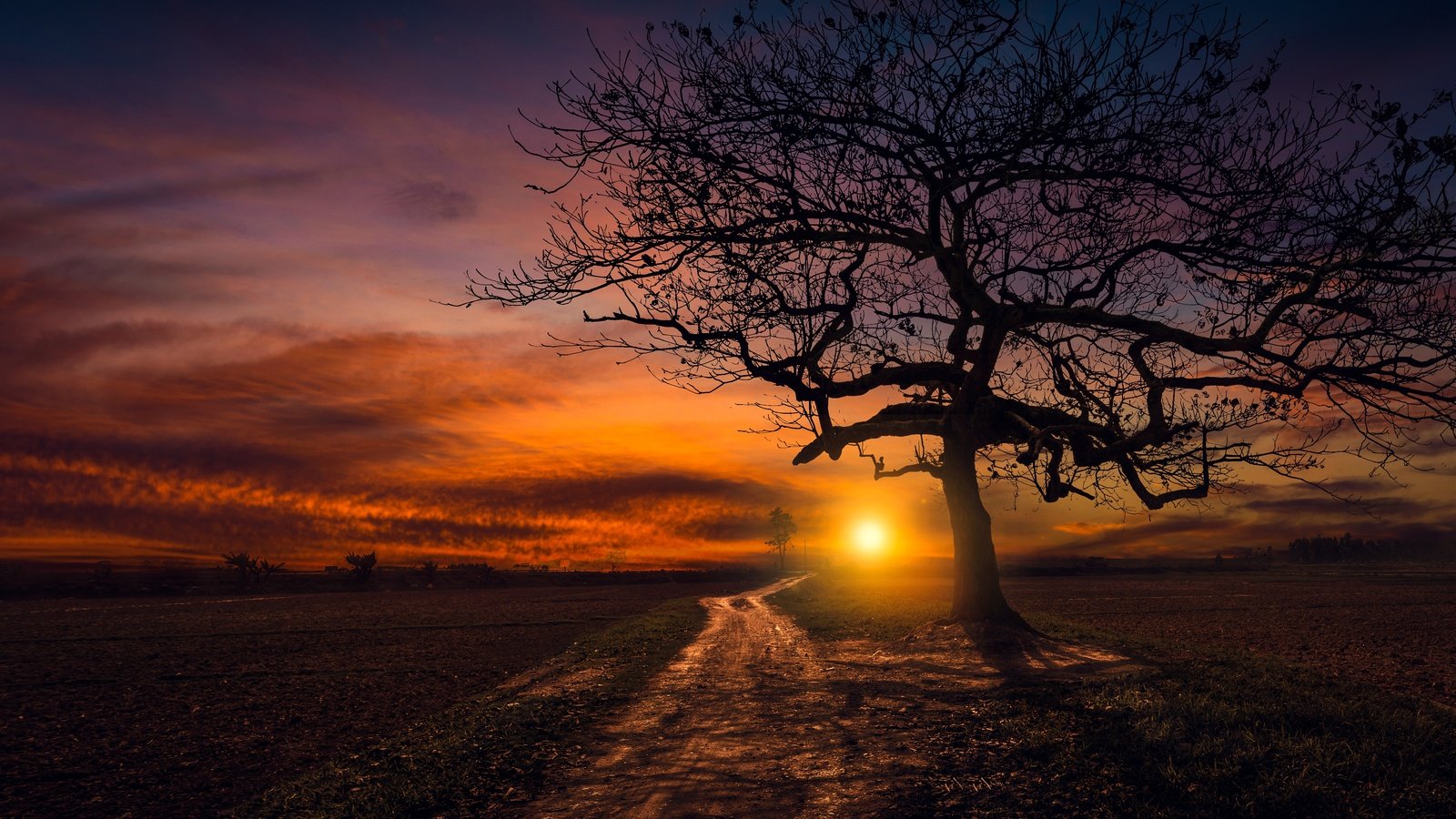 Обои дорога, дерево, закат, road, tree, sunset разрешение 4586x3052 Загрузить