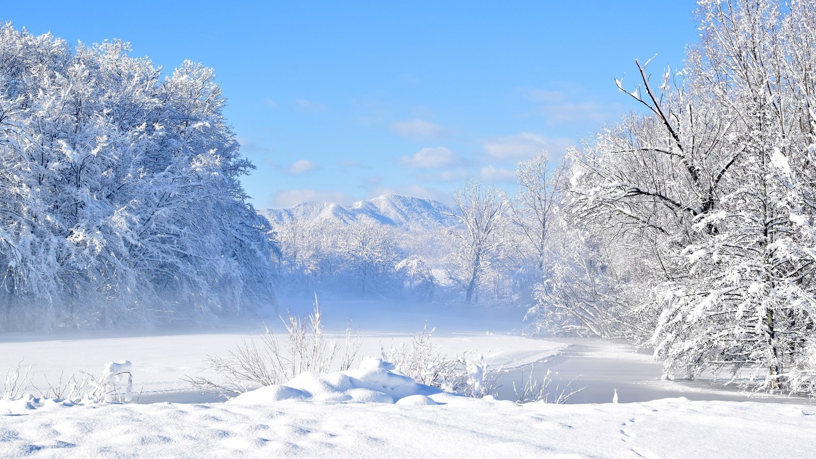 Обои небо, облака, деревья, снег, зима, пейзаж, холодно, the sky, clouds, trees, snow, winter, landscape, cold разрешение 3000x2000 Загрузить