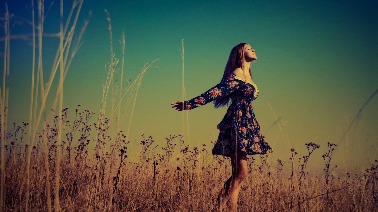 Обои трава, платье, блондинка, поле, модель, свобода, grass, dress, blonde, field, model, freedom разрешение 1920x1080 Загрузить