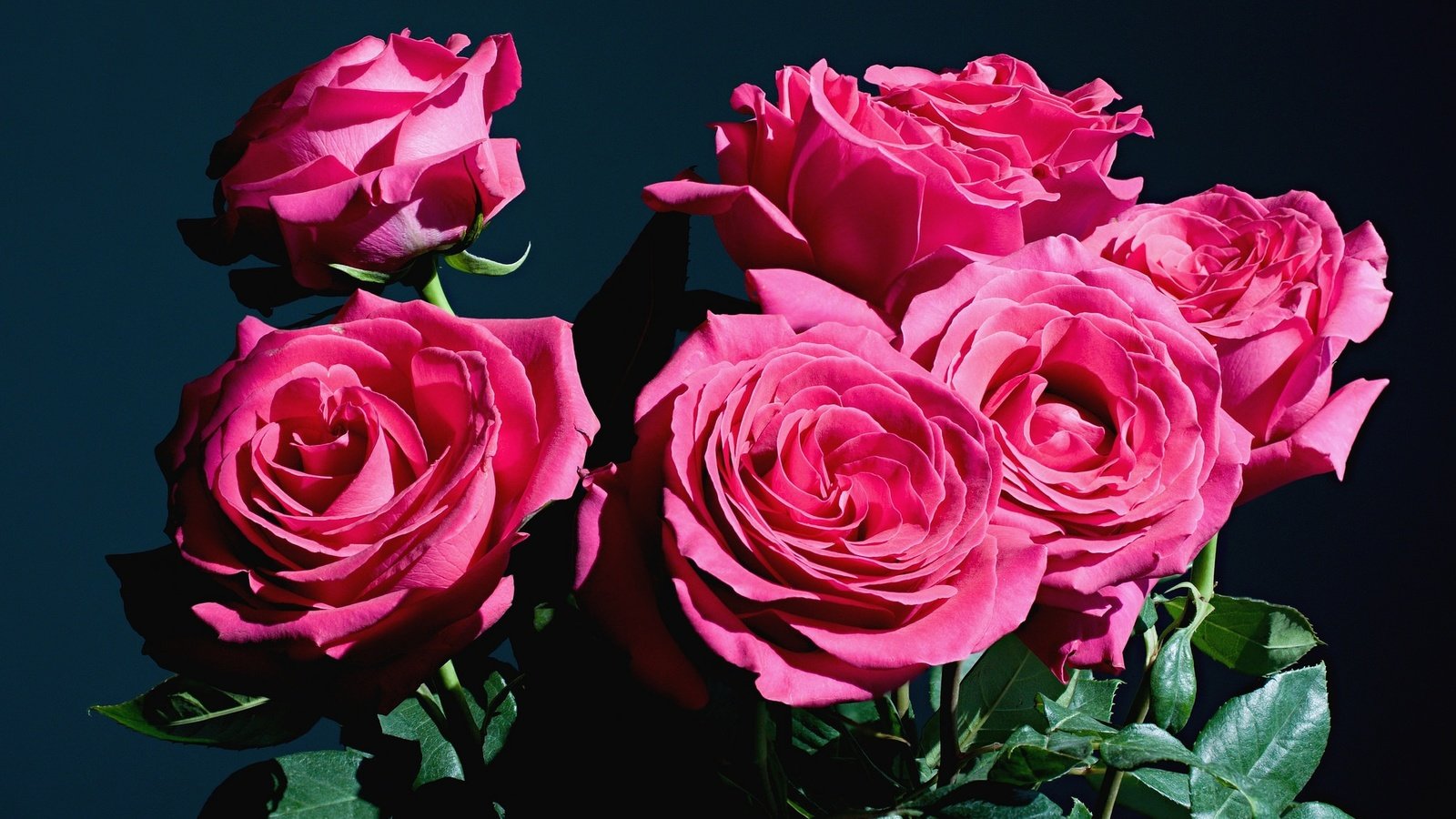 Обои цветы, бутоны, розы, букет, flowers, buds, roses, bouquet разрешение 2048x1318 Загрузить