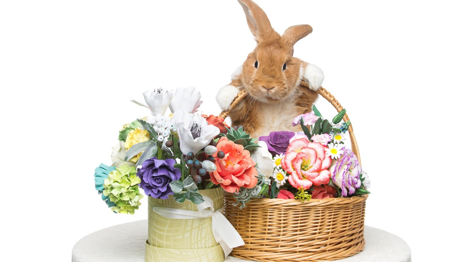 Обои цветы, корзина, кролик, пасха, flowers, basket, rabbit, easter разрешение 5544x3696 Загрузить