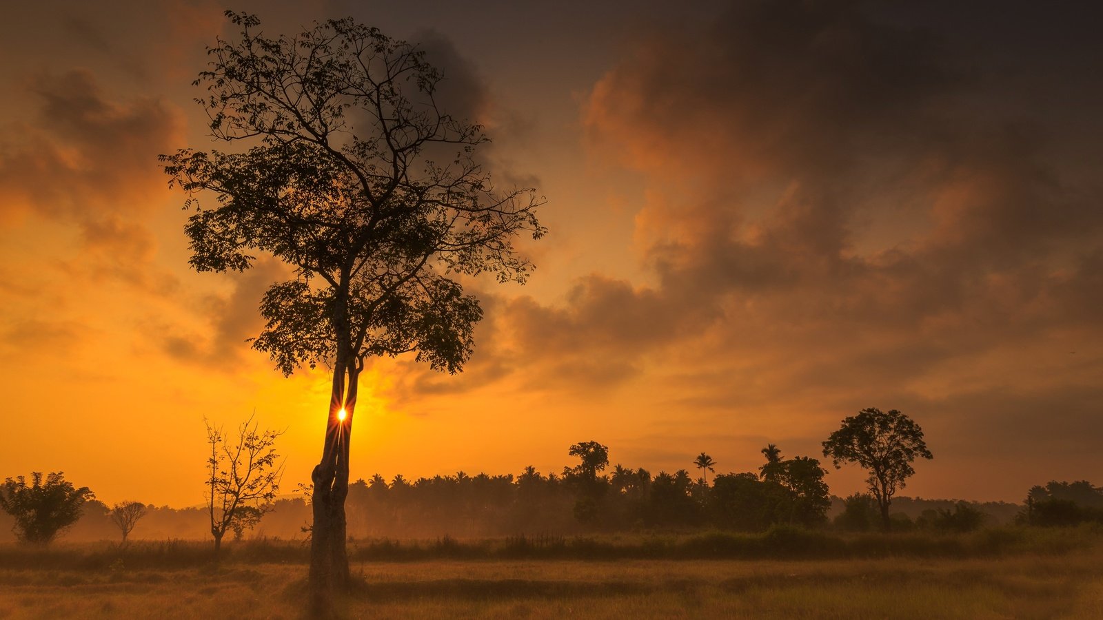 Обои небо, облака, деревья, закат, зарево, the sky, clouds, trees, sunset, glow разрешение 2048x1242 Загрузить