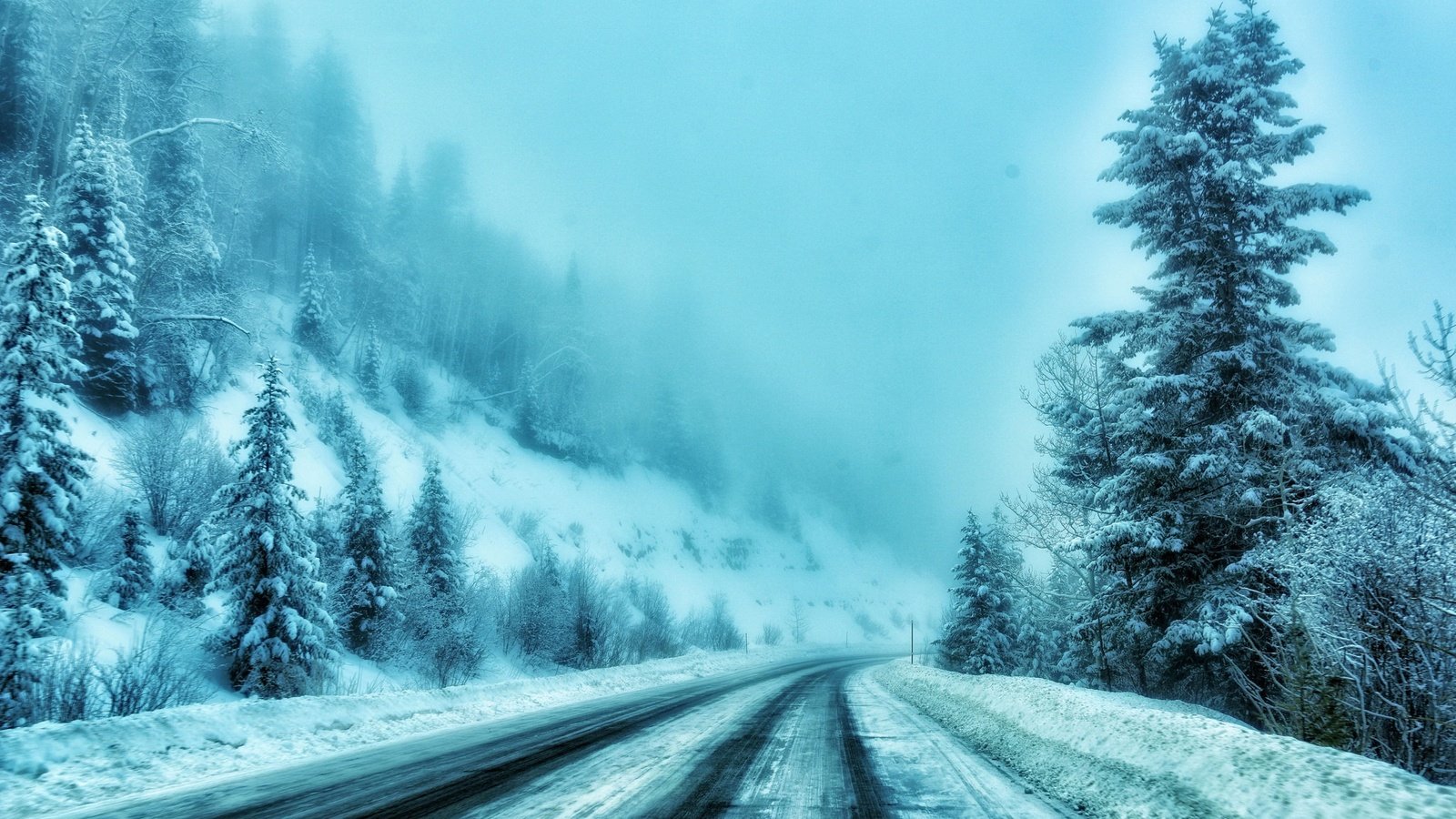 Обои дорога, деревья, снег, зима, туман, road, trees, snow, winter, fog разрешение 2047x1342 Загрузить