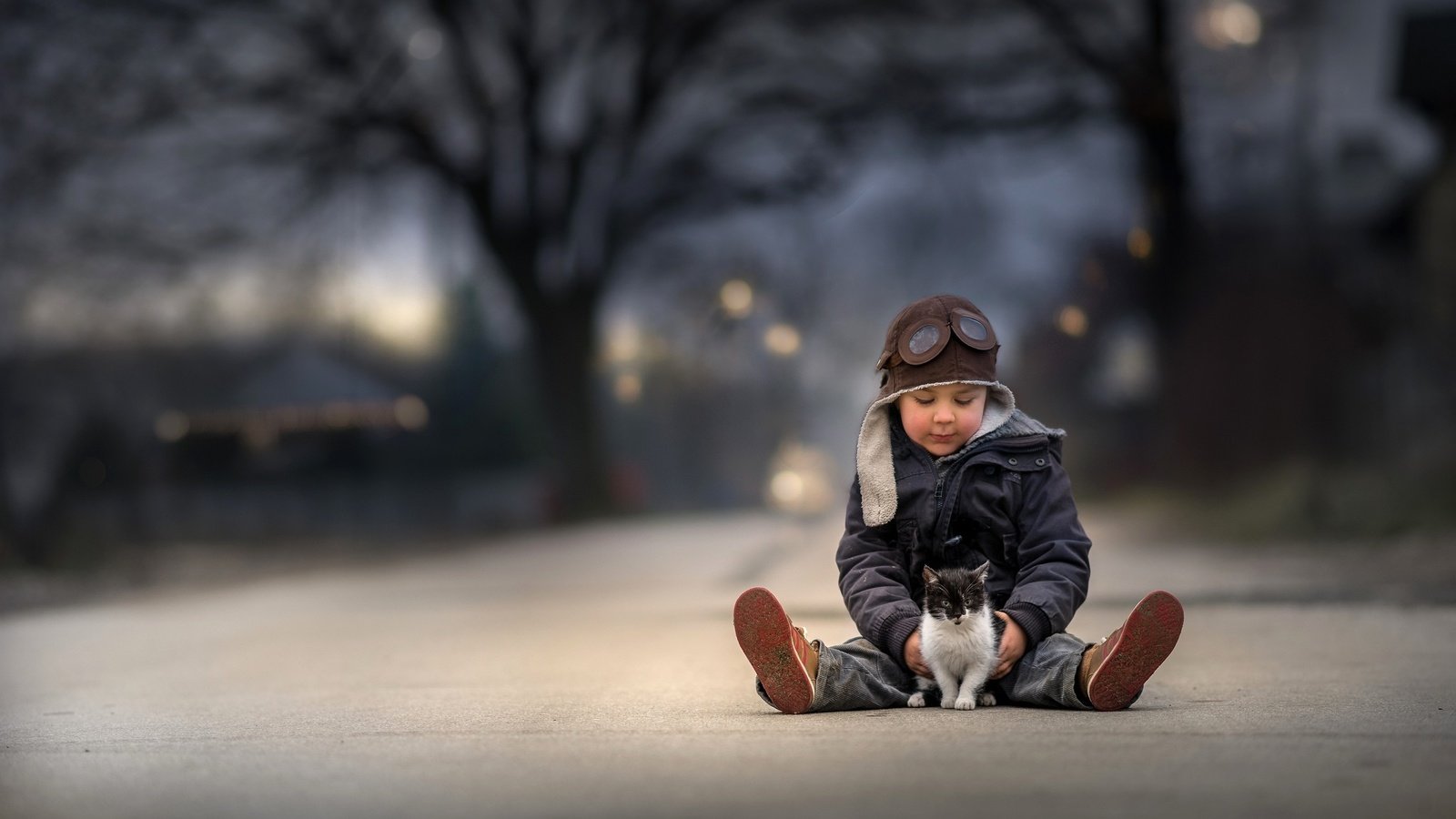 Обои животные, кошка, дети, мальчик, котята, маленький мальчик, animals, cat, children, boy, kittens, little boy разрешение 2048x1365 Загрузить