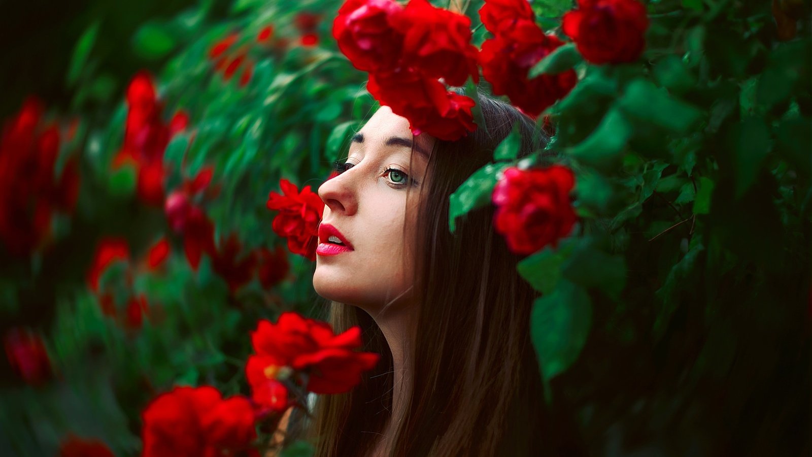 Обои цветы, лицо, природа, девушка, розы, модель, профиль, волосы, губы, flowers, face, nature, girl, roses, model, profile, hair, lips разрешение 2048x1365 Загрузить