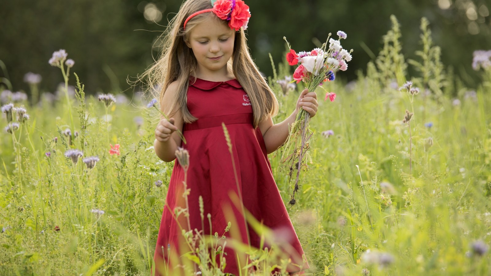 Обои цветы, природа, платье, лето, дети, девочка, волосы, лицо, flowers, nature, dress, summer, children, girl, hair, face разрешение 7360x4912 Загрузить