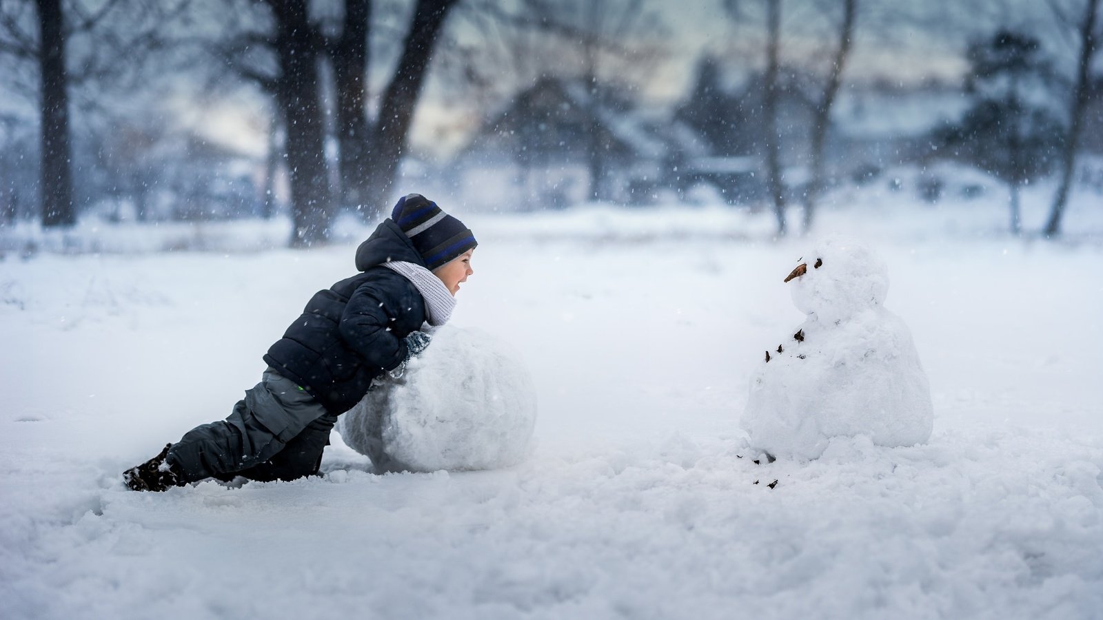 Обои снег, зима, дети, радость, снеговик, мальчик, snow, winter, children, joy, snowman, boy разрешение 2048x1365 Загрузить