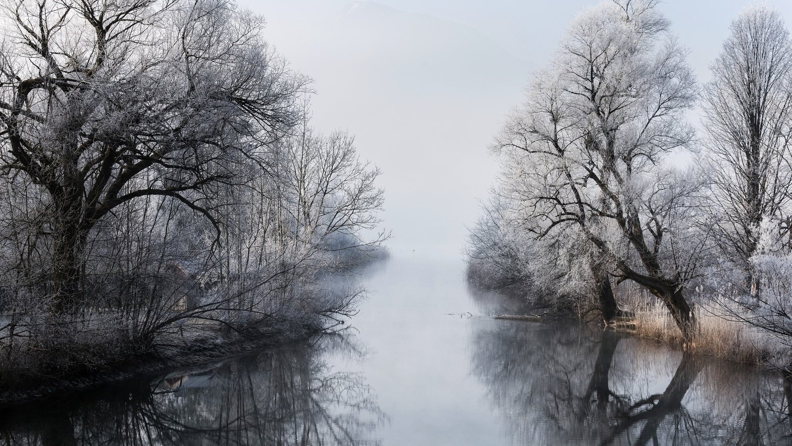 Обои деревья, река, зима, туман, ветки, trees, river, winter, fog, branches разрешение 2048x1365 Загрузить