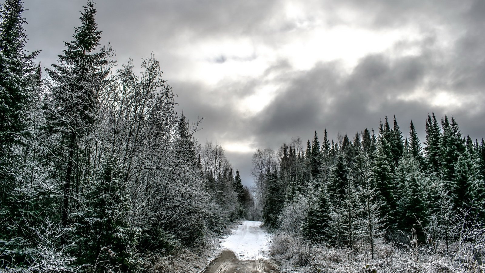 Обои дорога, лес, тучи, зима, ели, road, forest, clouds, winter, ate разрешение 1920x1280 Загрузить