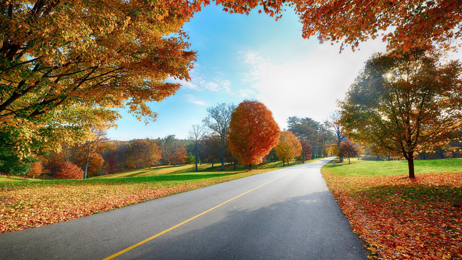 Обои небо, дорога, деревья, листья, пейзаж, осень, деревь, the sky, road, trees, leaves, landscape, autumn разрешение 2560x1600 Загрузить