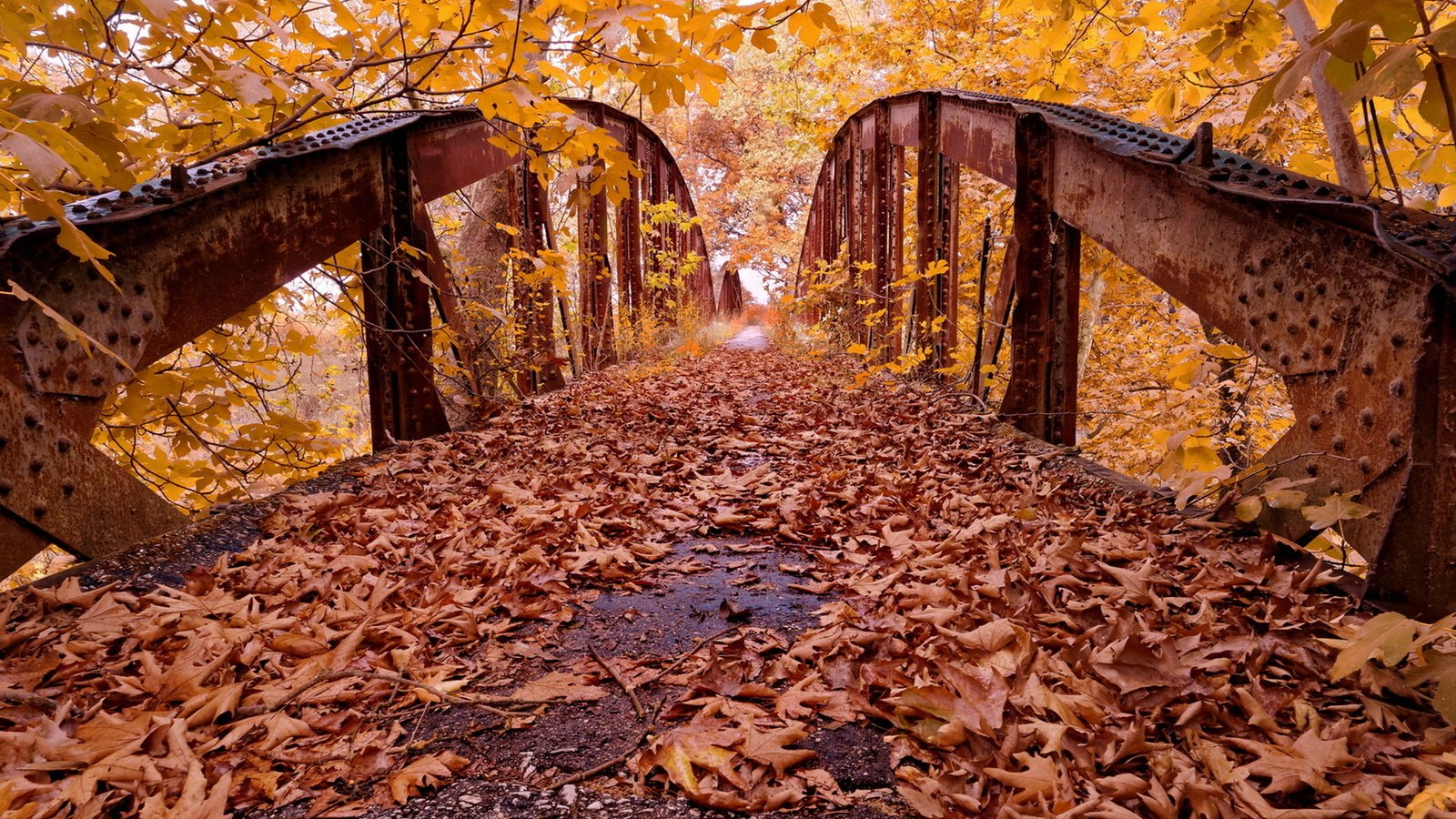 Обои деревья, листья, парк, мост, осень, trees, leaves, park, bridge, autumn разрешение 1920x1246 Загрузить