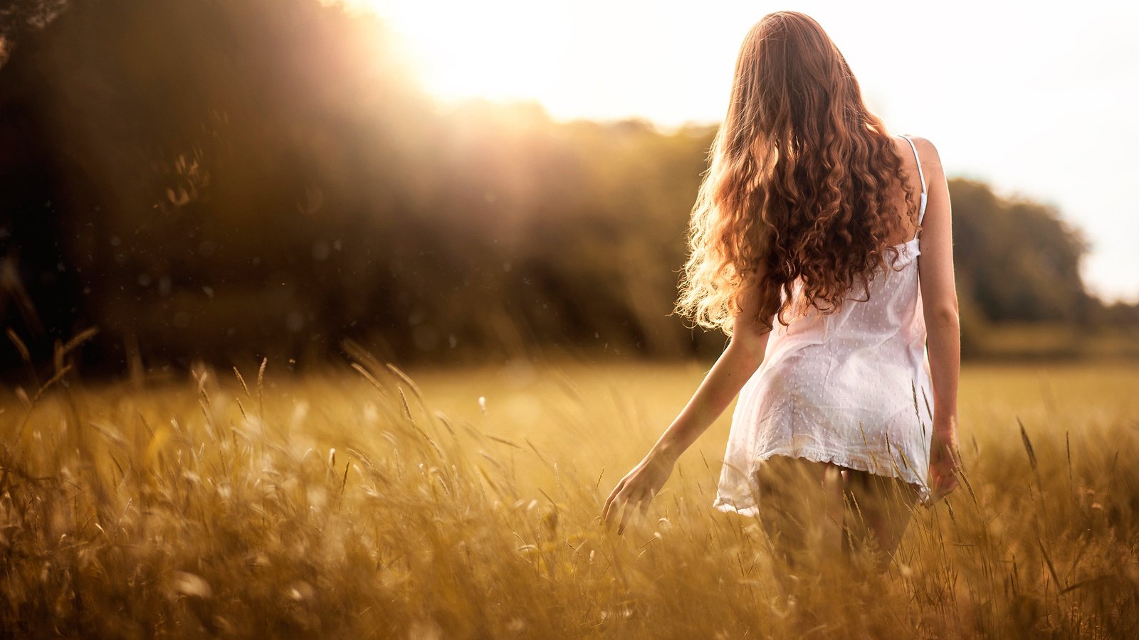 Обои небо, трава, девушка, платье, поле, лето, спина, волосы, the sky, grass, girl, dress, field, summer, back, hair разрешение 2048x1367 Загрузить